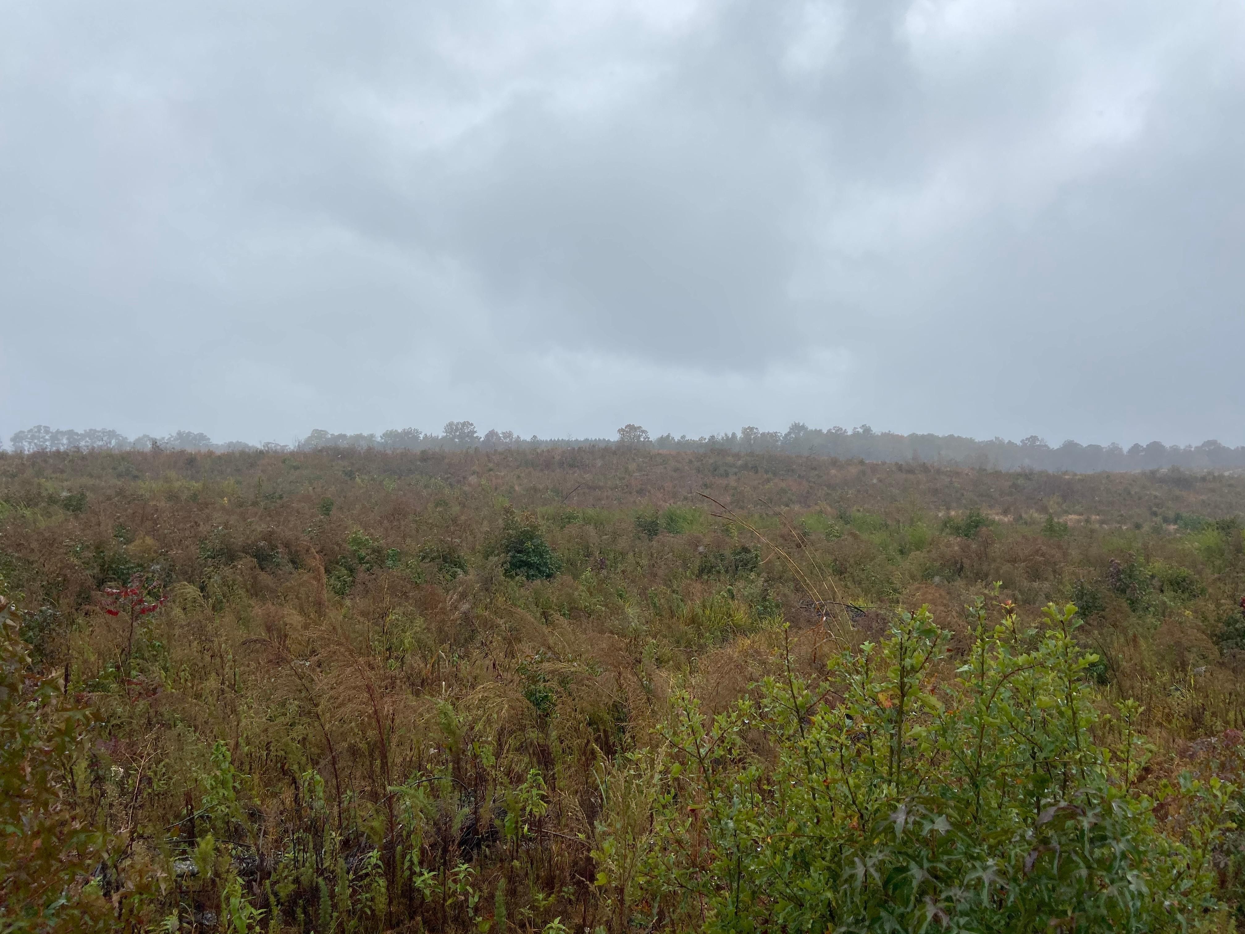 Rupert, Taylor County, GA Recreational Property, Hunting Property for