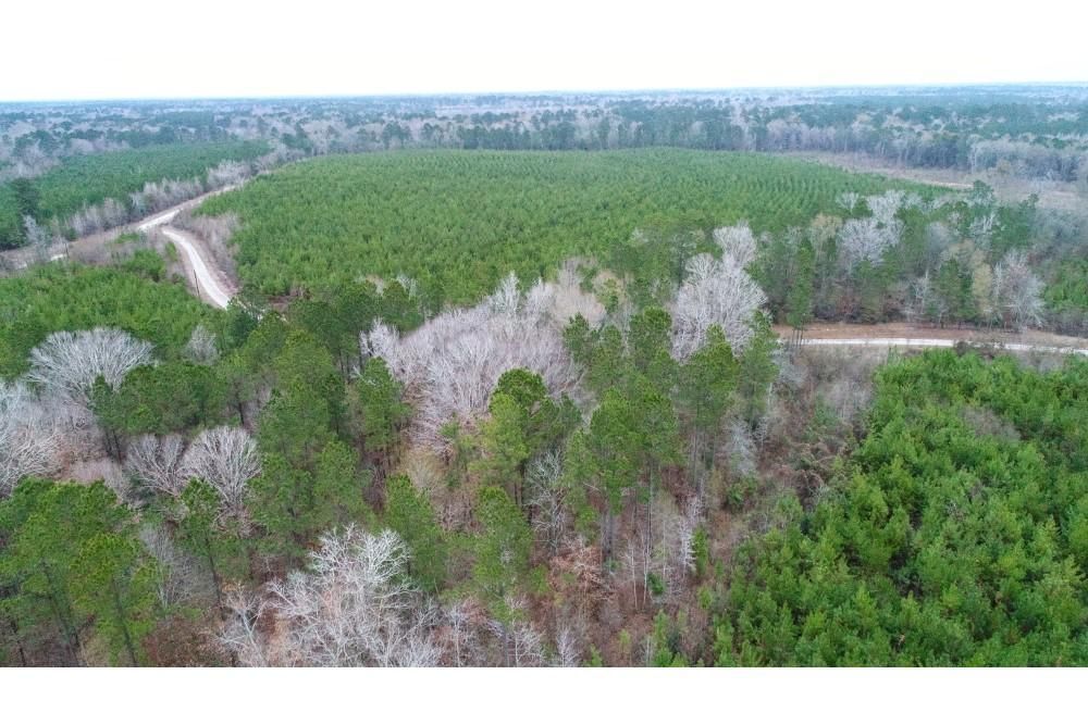 52 acres in Pitkin, LA, 70656 LandWatch