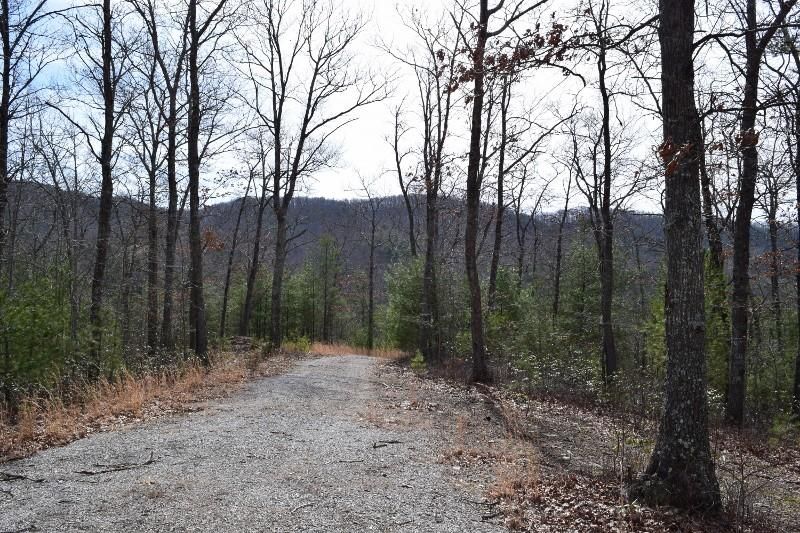 Blacksburg, Montgomery County, VA Recreational Property, Timberland