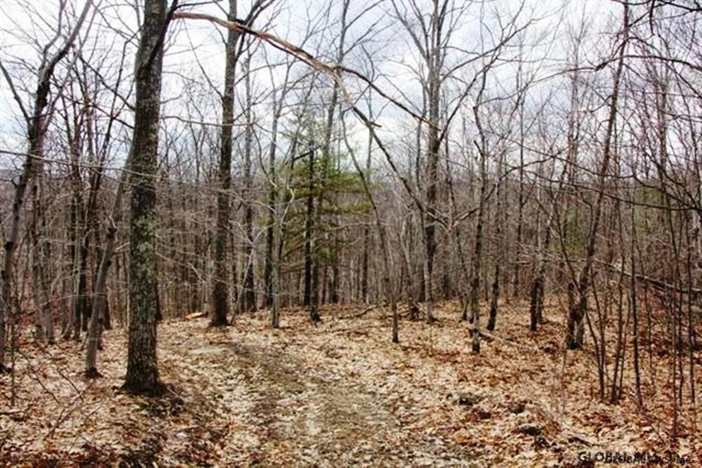 Richmondville, Schoharie County, NY Undeveloped Land for sale Property