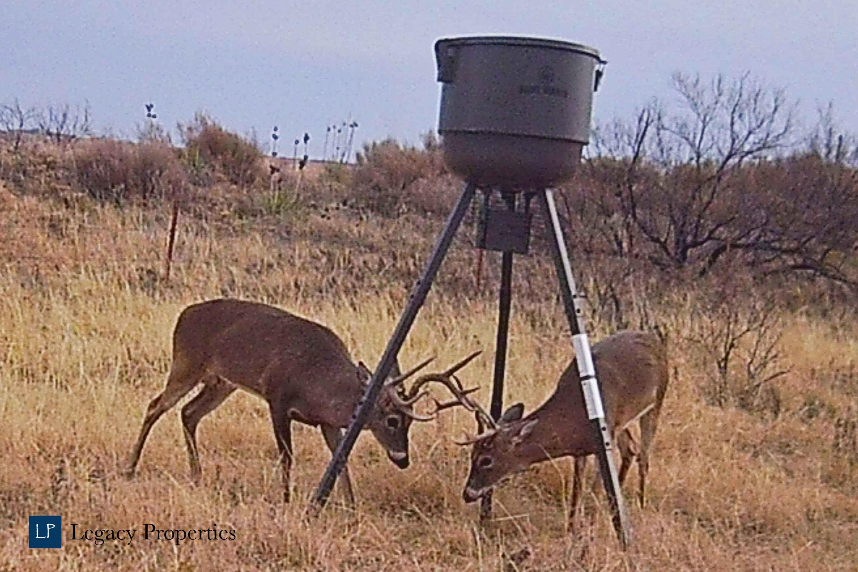 Estelline, Hall County, TX Farms and Ranches, Recreational Property