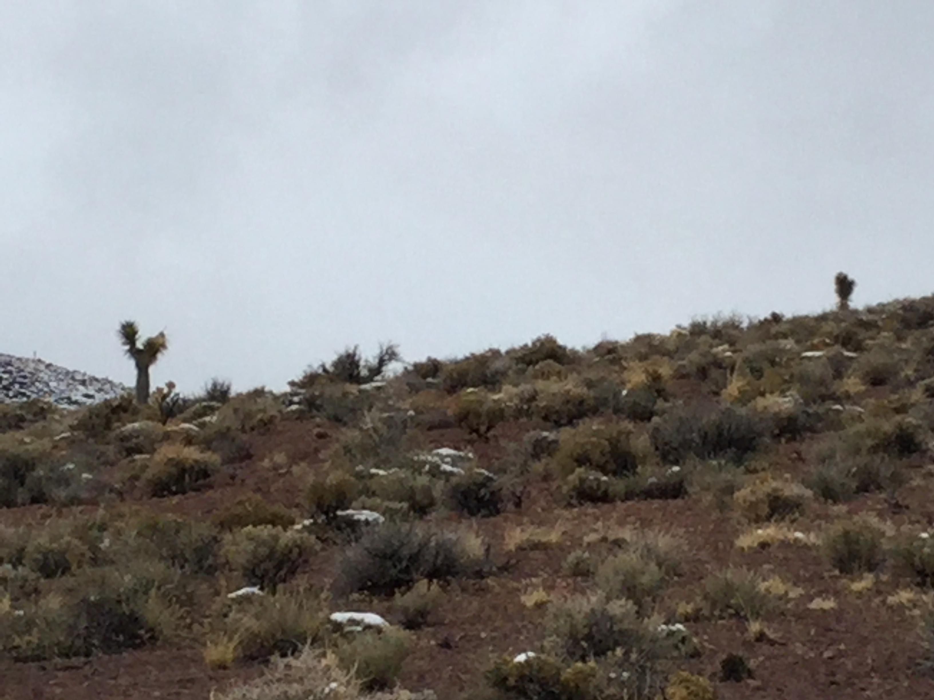 Lida, Esmeralda County, NV Recreational Property, Undeveloped Land for