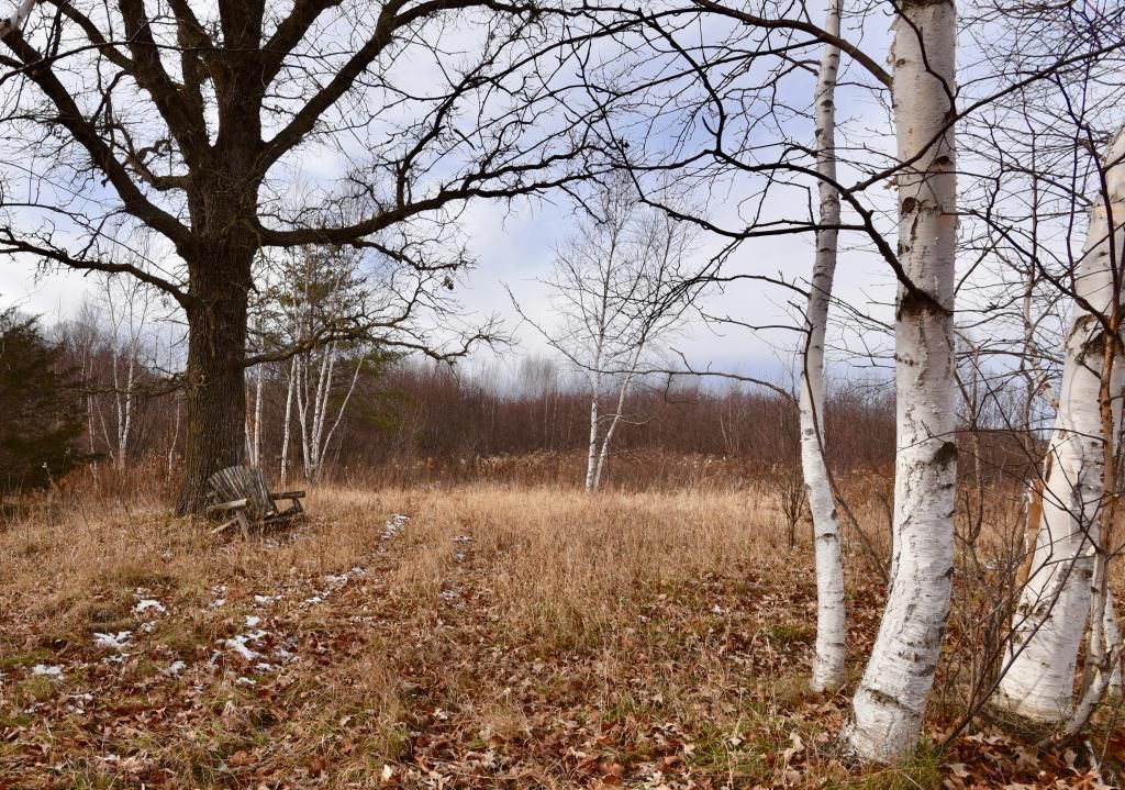 Onamia, Mille Lacs County, MN Undeveloped Land for sale Property ID