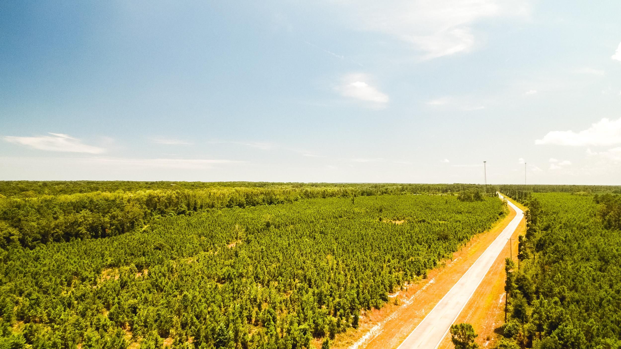 Darien, McIntosh County, GA Recreational Property, Timberland Property