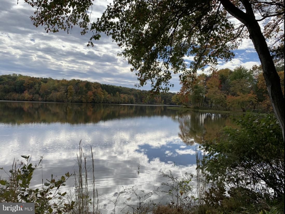 Culpeper, Culpeper County, VA Undeveloped Land, Lakefront Property