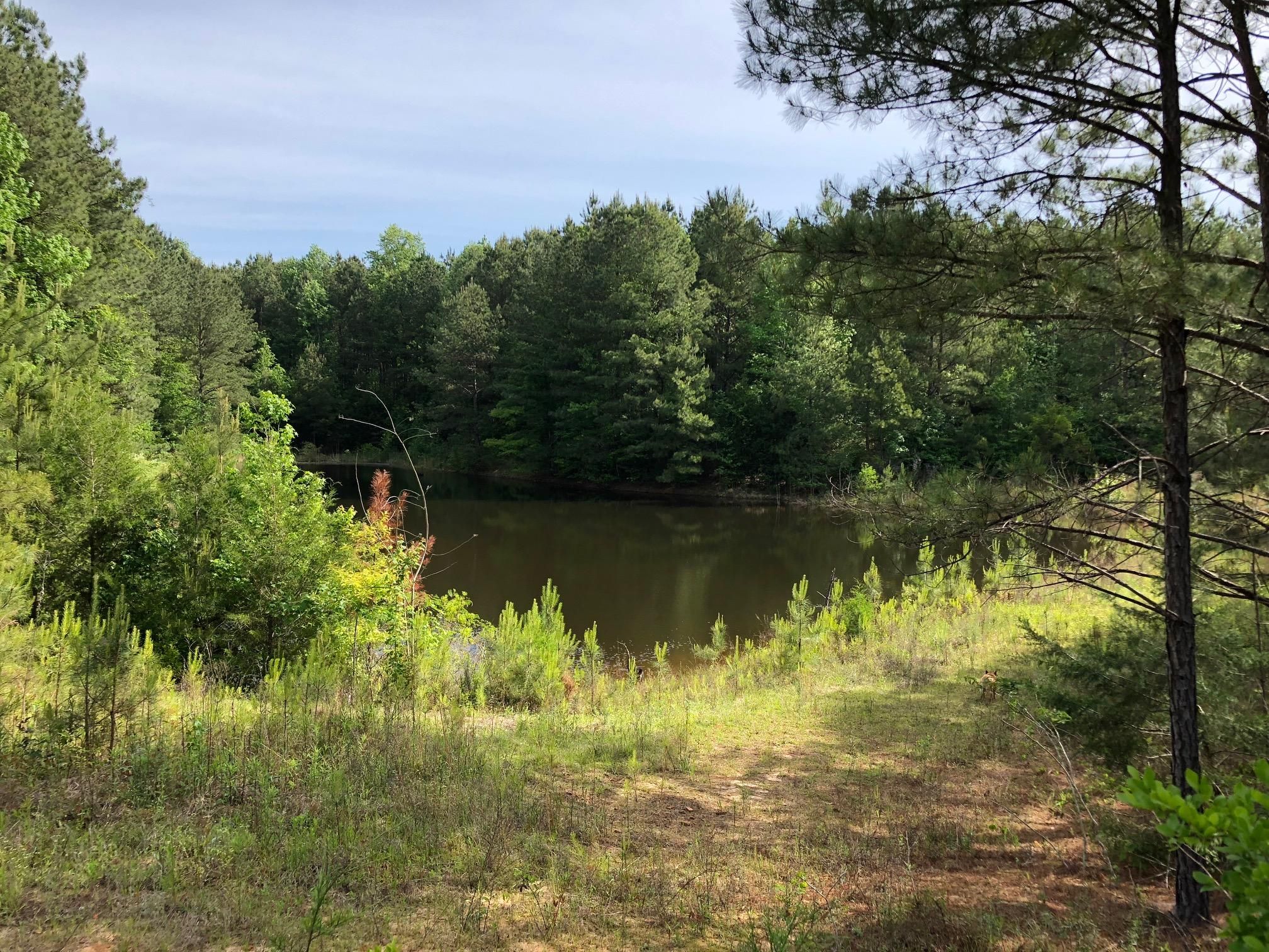 De Kalb, Kemper County, MS Recreational Property, Timberland Property