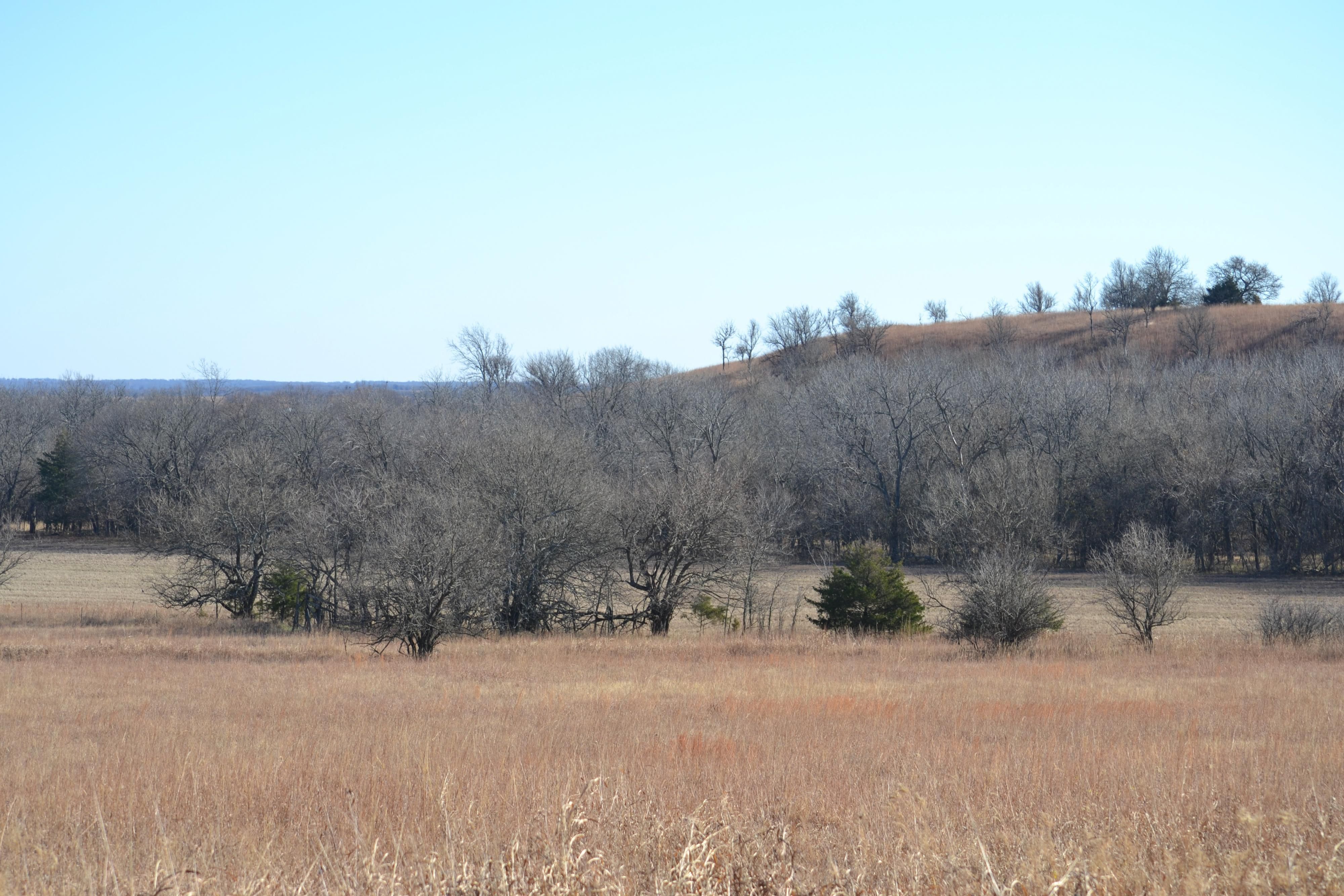 Longton, Elk County, KS Farms and Ranches, Hunting Property for sale