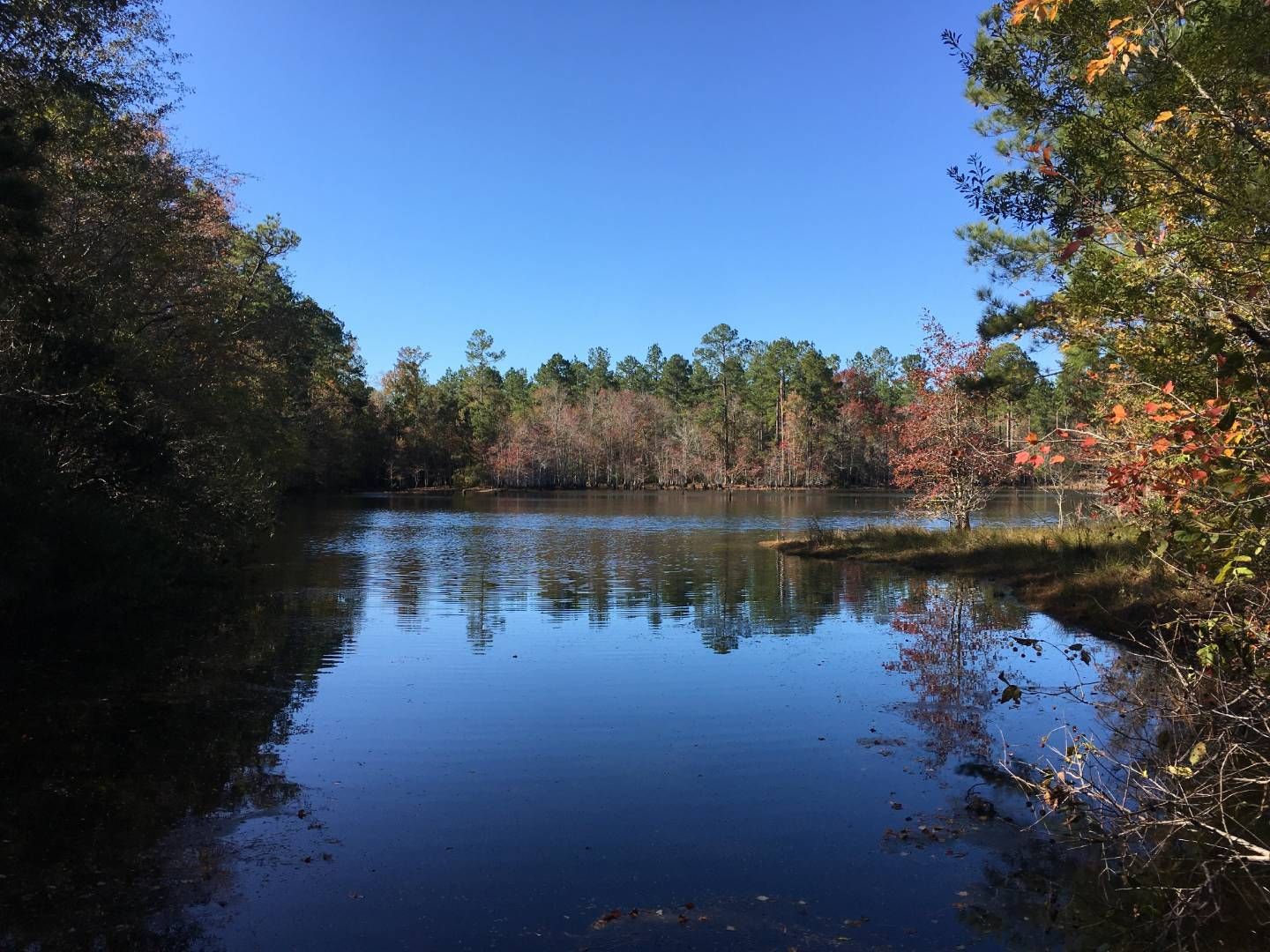 Kite, Johnson County, GA Undeveloped Land for sale Property ID