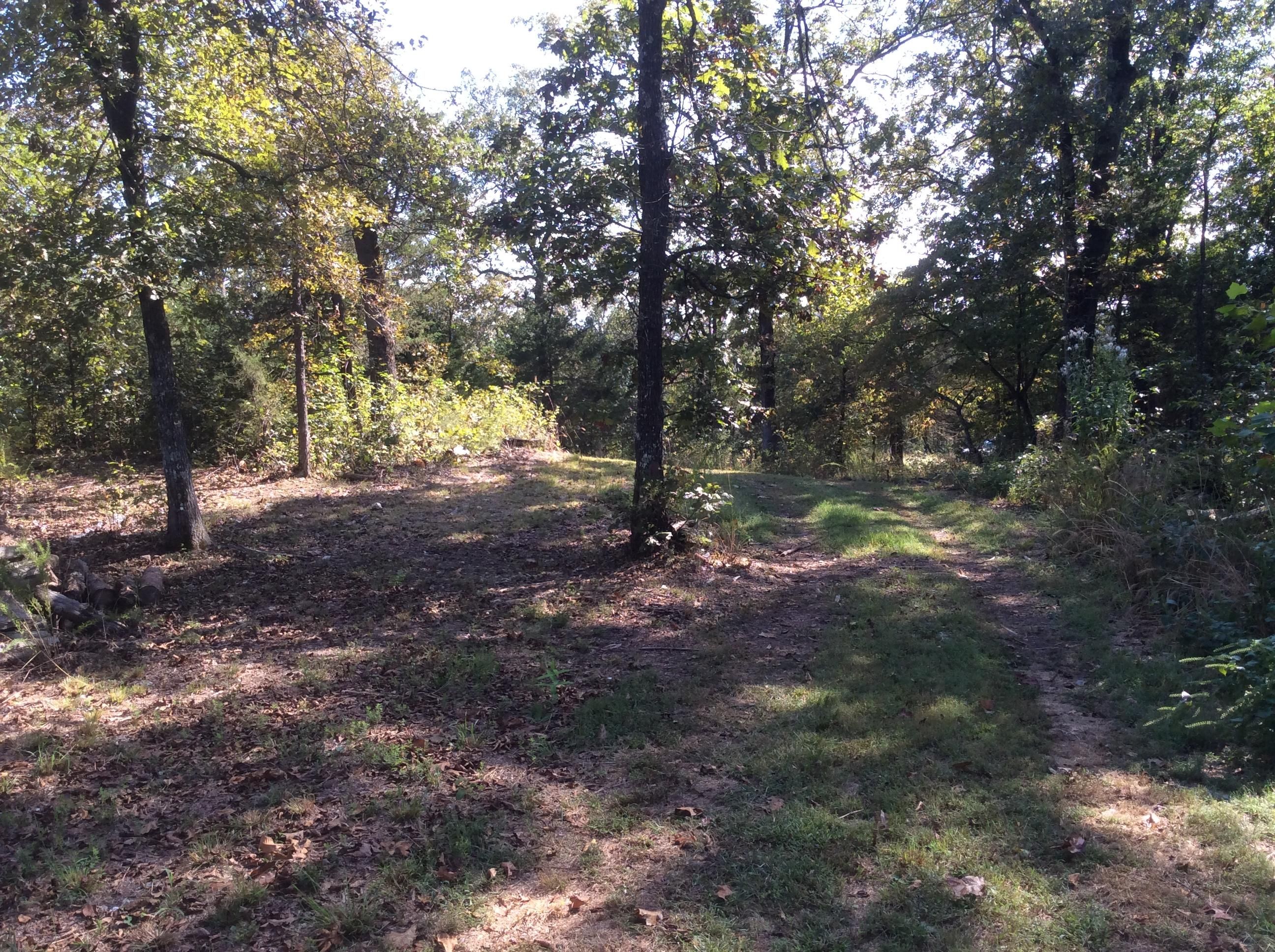 Branson, Taney County, MO Undeveloped Land for sale Property ID