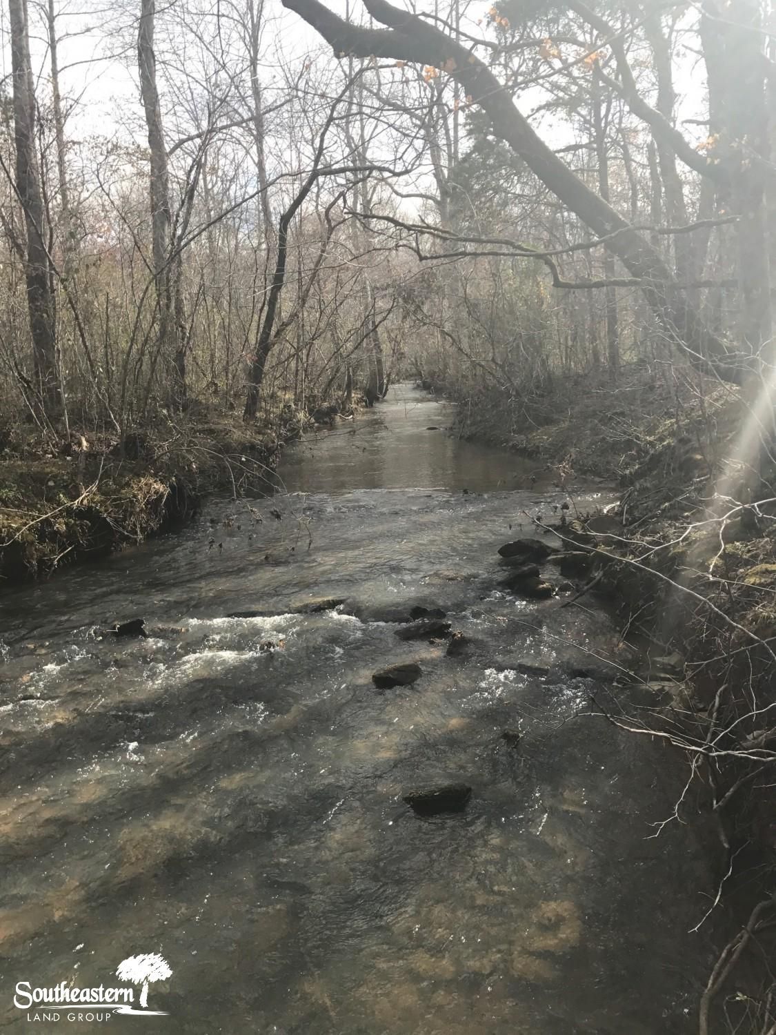Lineville, Clay County, AL Recreational Property, Timberland Property