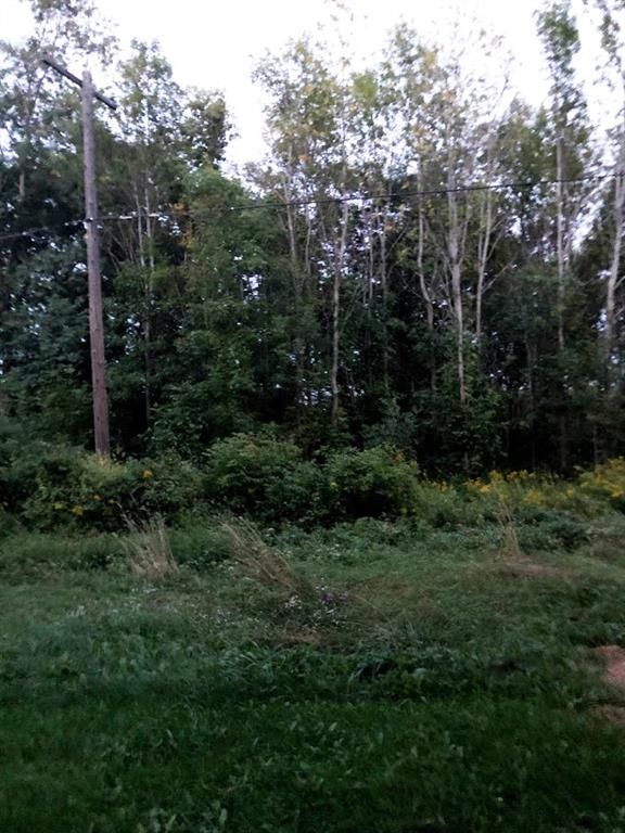 Lyndonville, Orleans County, NY Undeveloped Land, Homesites for sale