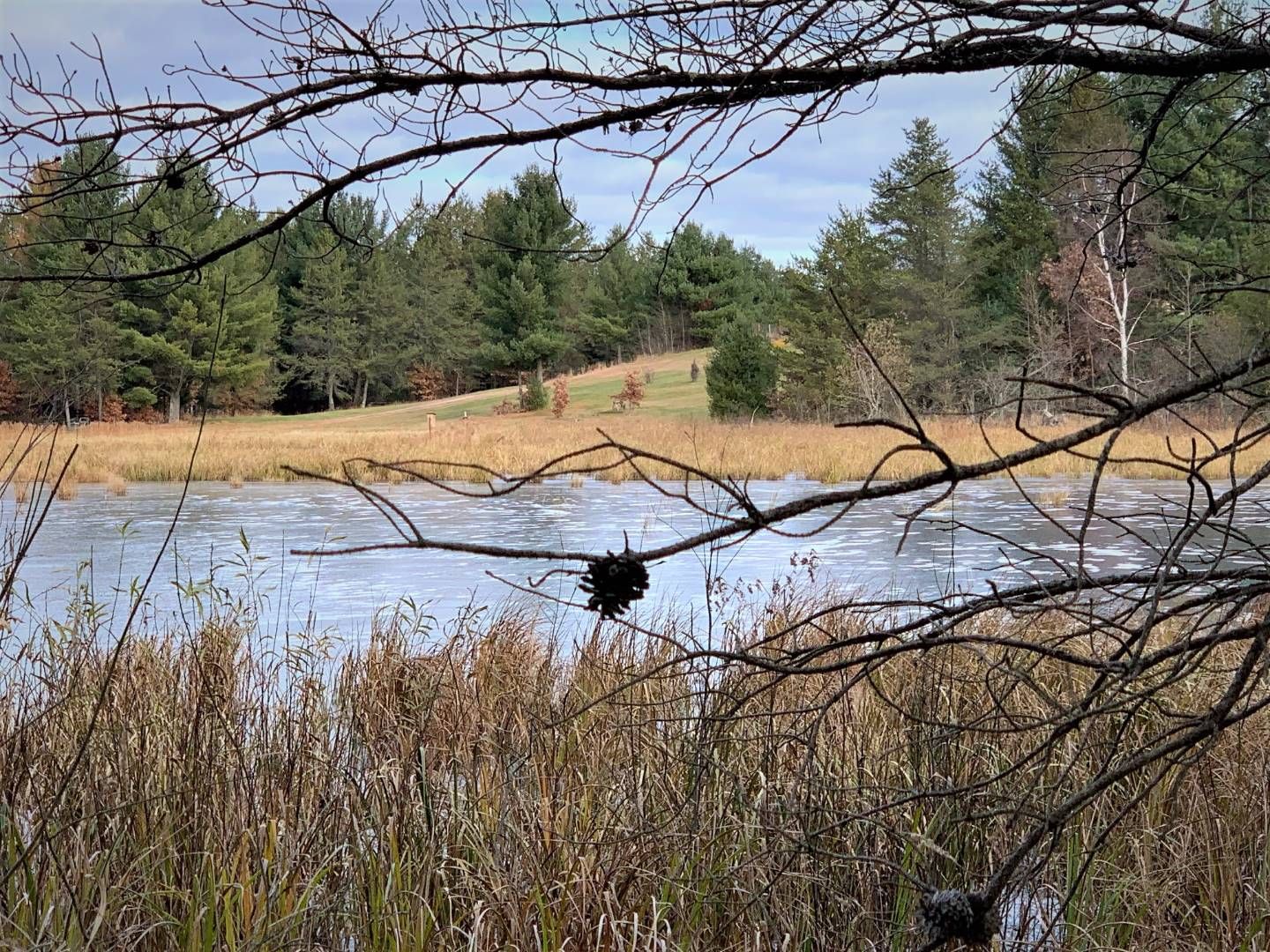 ster, County, WI Undeveloped Land for sale Property ID