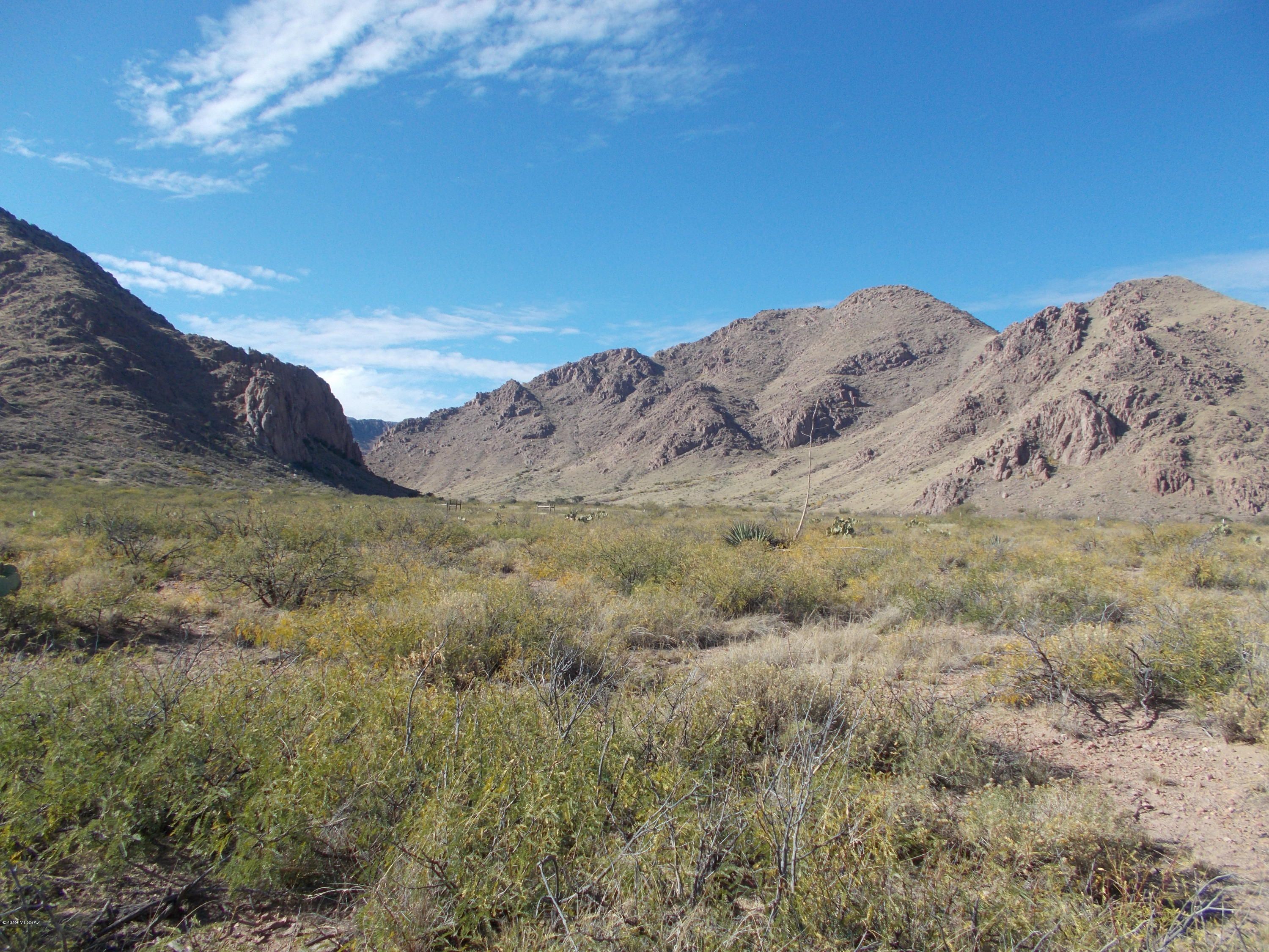 Portal, Cochise County, AZ Undeveloped Land for sale Property ID