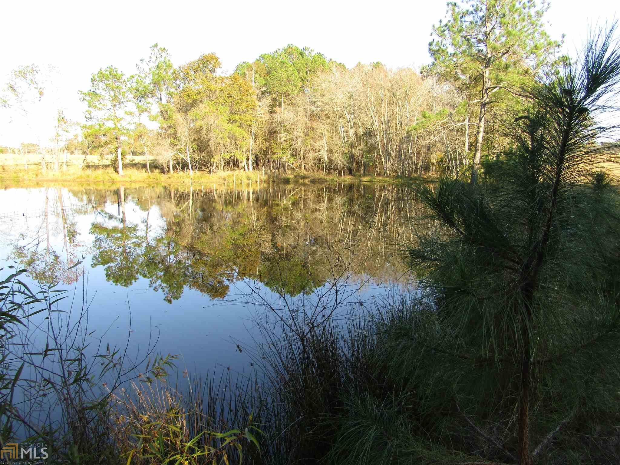 Broxton, Coffee County, GA Farms and Ranches for sale Property ID