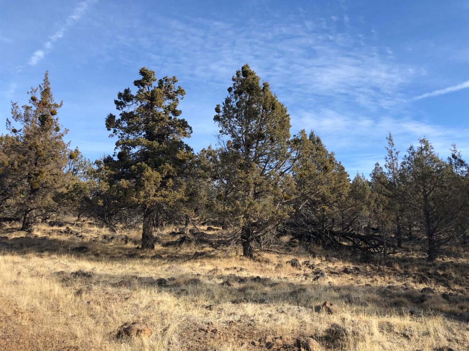 Klamath Falls, Klamath County, OR Undeveloped Land for sale Property ID