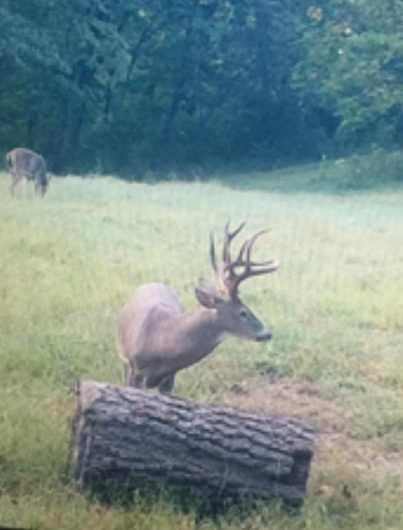 Pineville, McDonald County, MO Farms and Ranches, Hunting Property for