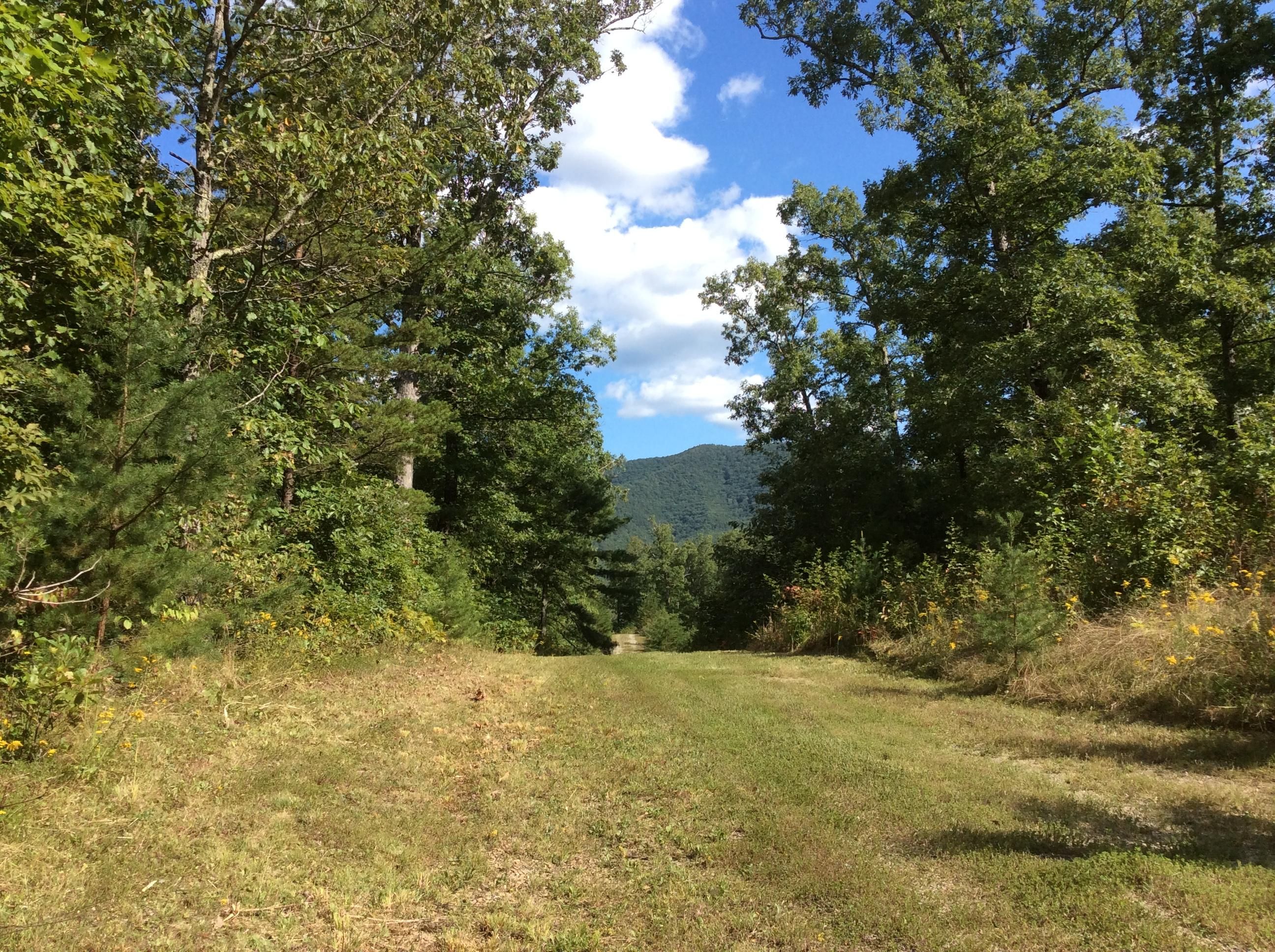 Elliston, Montgomery County, VA Recreational Property, Undeveloped Land for sale Property ID