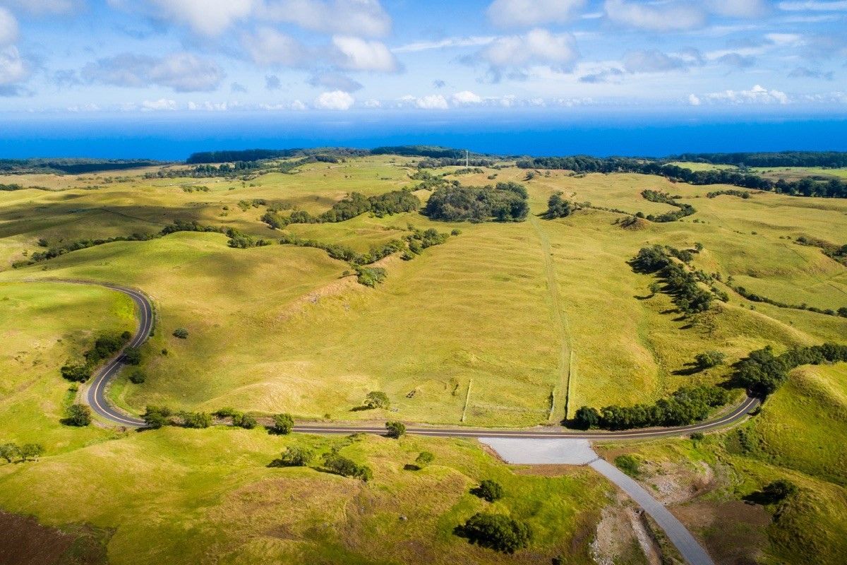Honokaa, Hawaii County, HI Undeveloped Land for sale Property ID