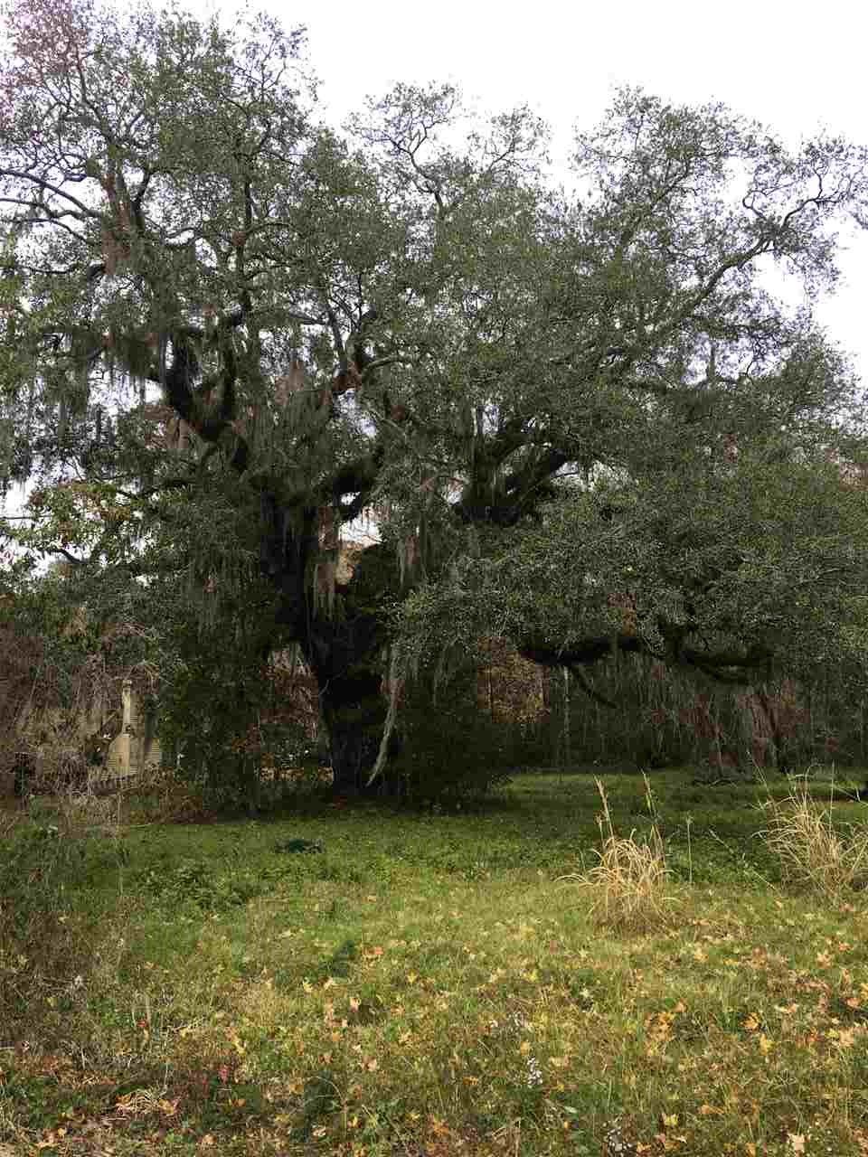 Gibson, Terrebonne Parish, LA Undeveloped Land for sale Property ID