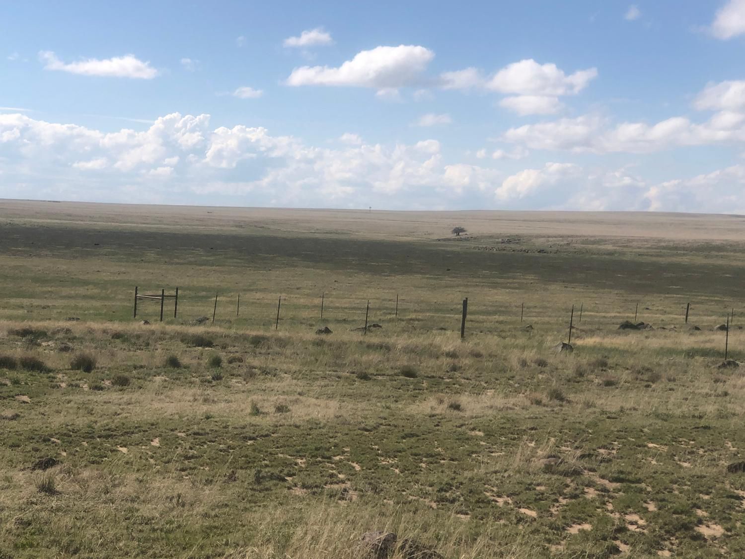 Gladstone, Harding County, NM Farms and Ranches for sale Property ID