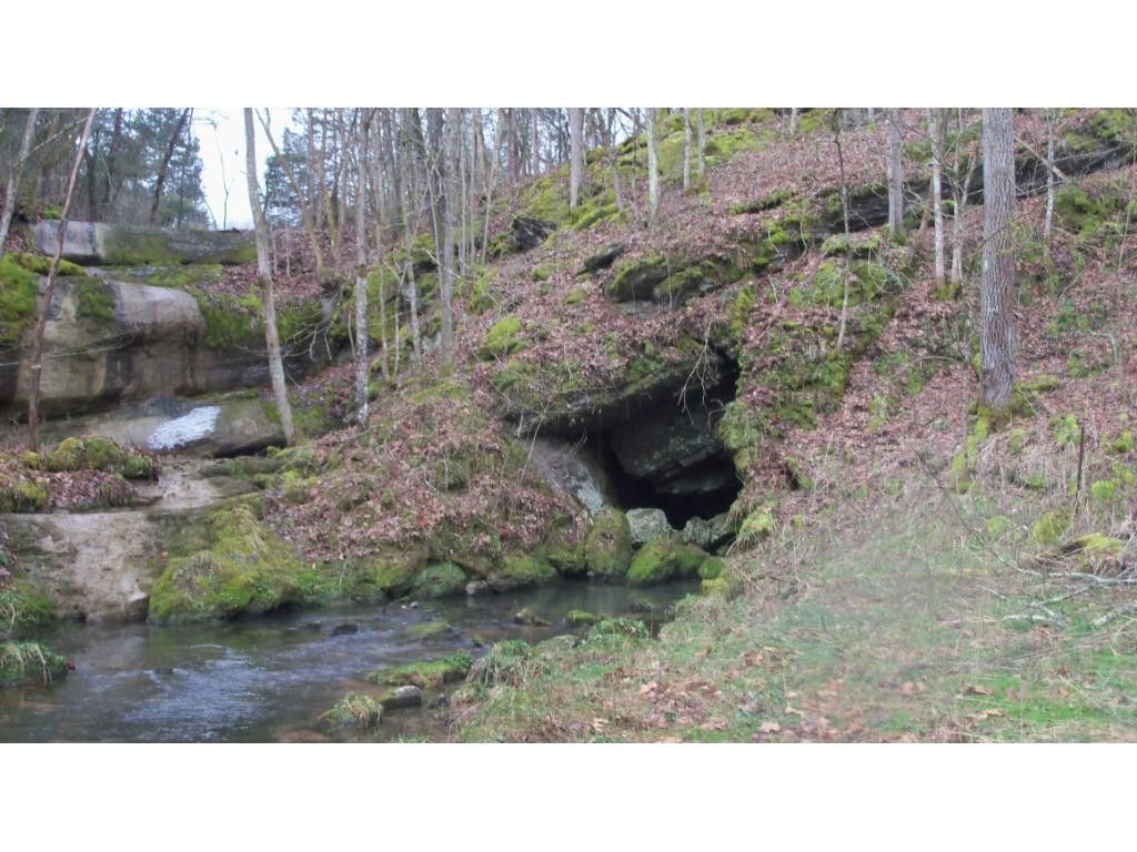 Fort Blackmore, Scott County, VA Undeveloped Land for sale Property ID