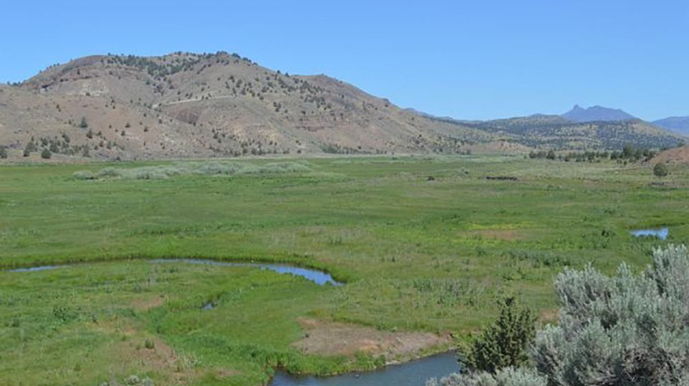30,852 acres in Juntura, OR, 97911 MLS 01018 LandWatch