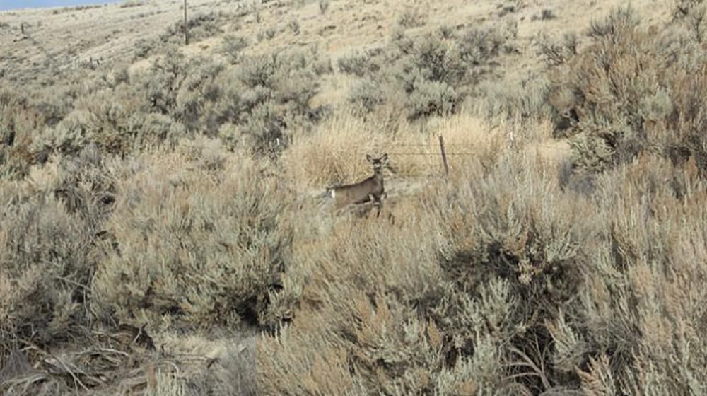 Heppner, Gilliam County, OR Farms and Ranches, Recreational Property