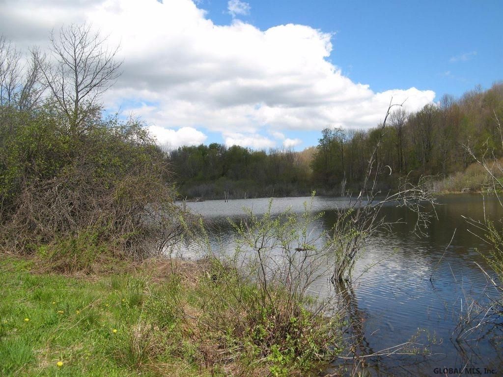 Schuyler Lake, Otsego County, NY Undeveloped Land for sale Property ID