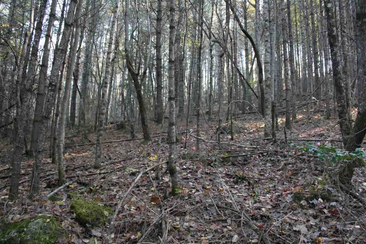 Reliance, Polk County, TN Undeveloped Land for sale Property ID