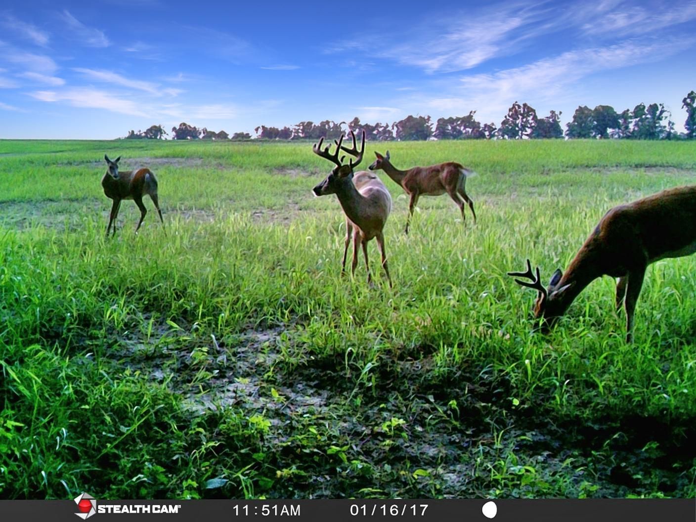 Mexico, Audrain County, MO Farms and Ranches, Recreational Property for