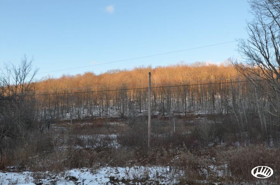 Foster, McKean County, PA Recreational Property, Timberland Property