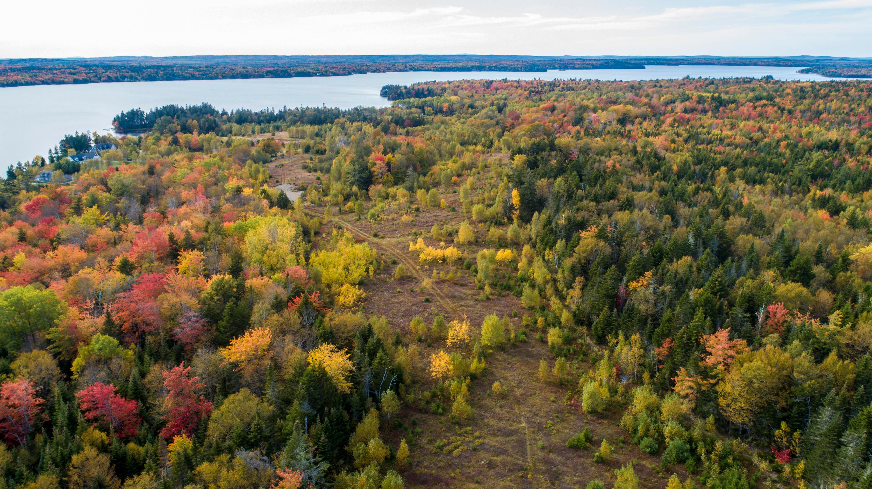 Whiting, Washington County, ME Undeveloped Land, Lakefront Property