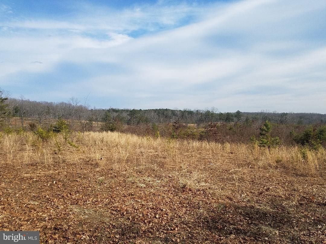 Louisa, Louisa County, VA Undeveloped Land for sale Property ID