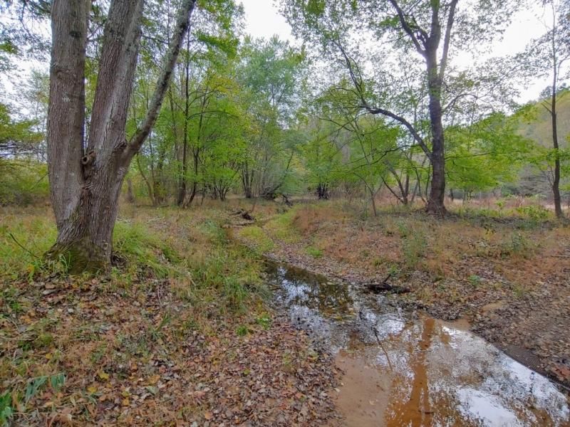 Maxeys, Oglethorpe County, GA Recreational Property, Timberland