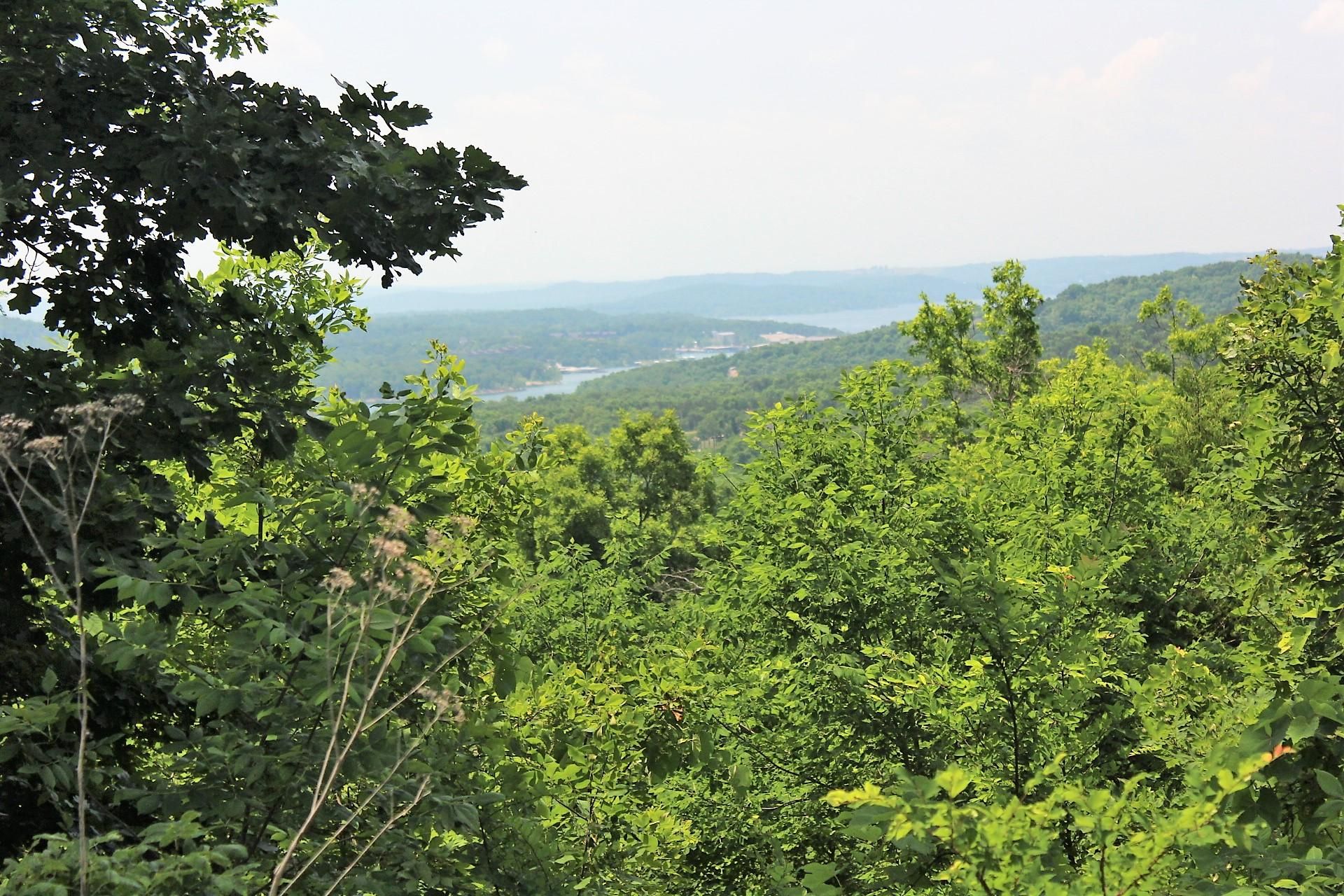 Branson West, Stone County, MO Undeveloped Land, Homesites for sale