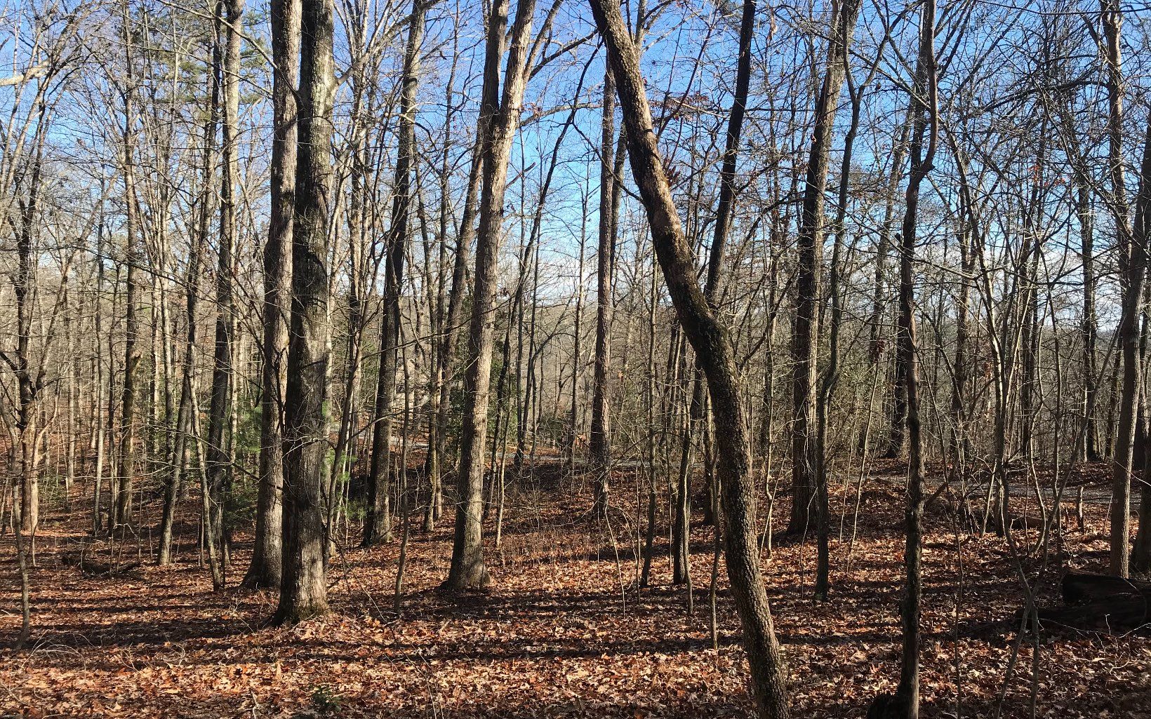 Fry, Fannin County, GA Undeveloped Land for sale Property ID 336899658