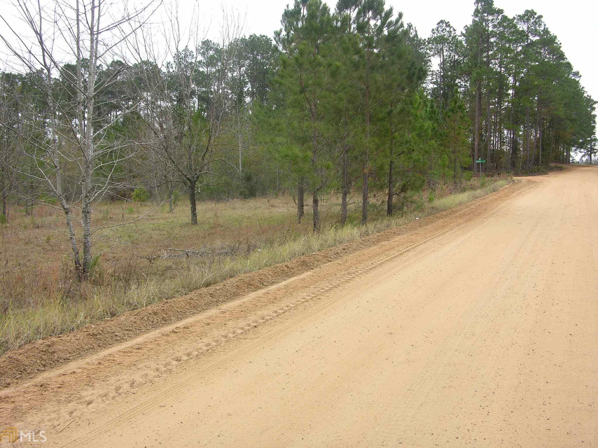 Metter, Candler County, GA Undeveloped Land for sale Property ID 336905117 LandWatch