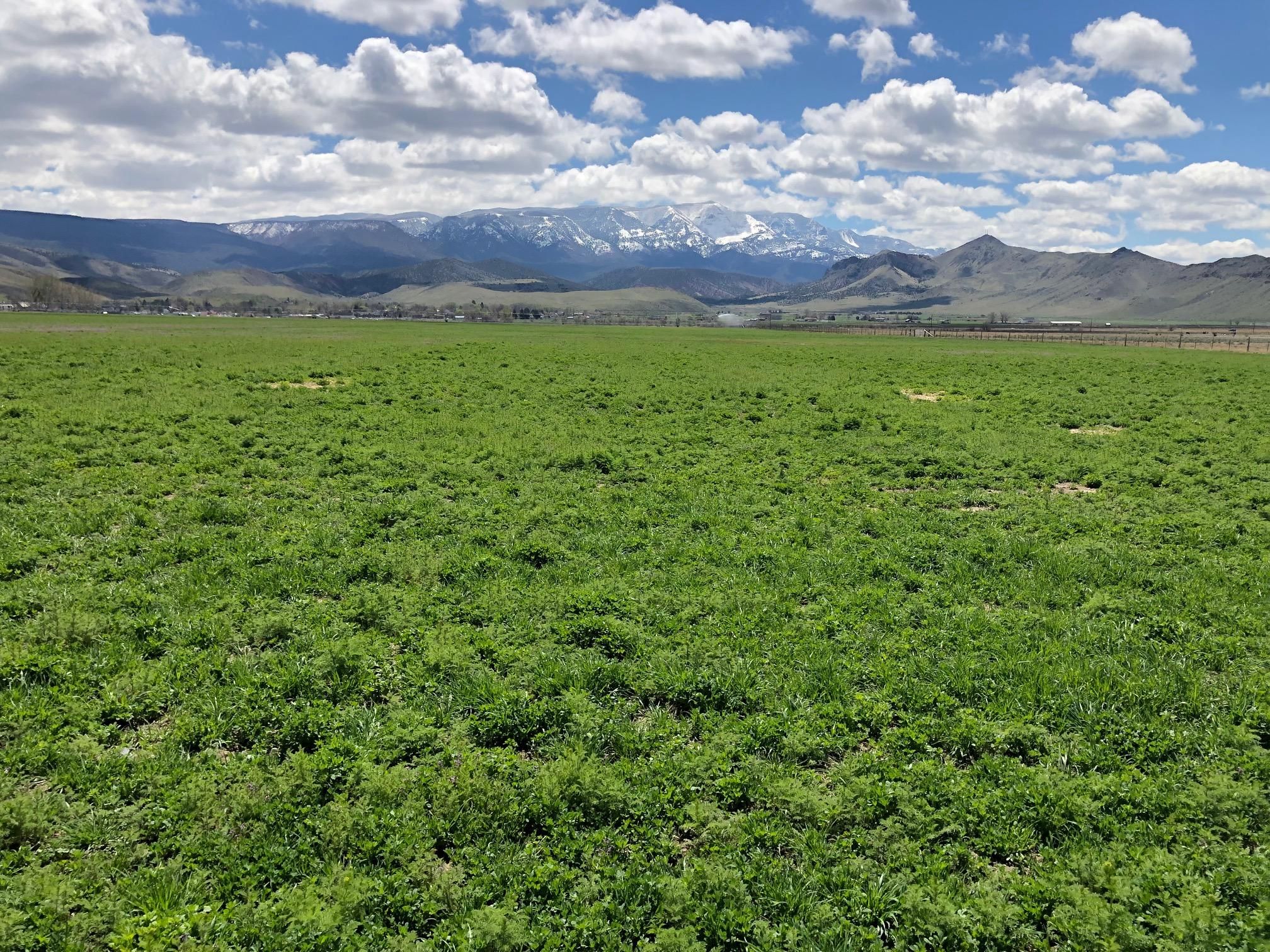 4104 S. OLD HWY 89, Salina, UT 84654 MLS 1646238 LandWatch
