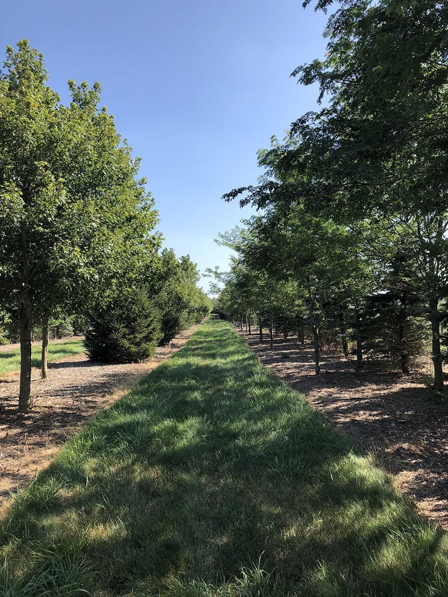 Hinckley, DeKalb County, IL Farms and Ranches, Hunting Property for