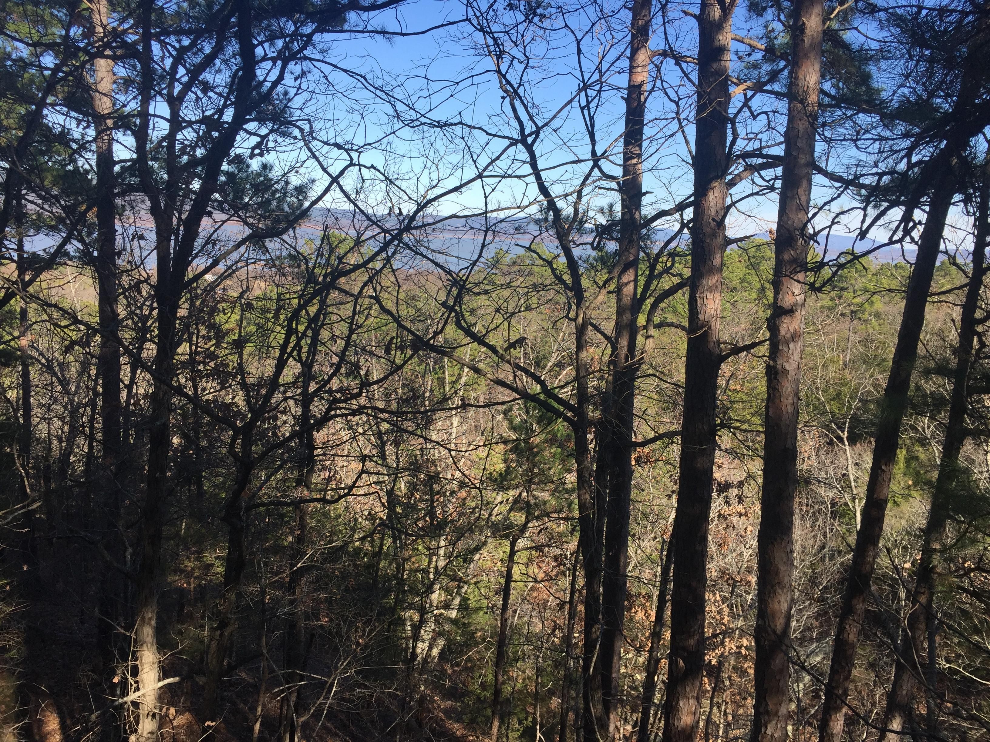 Clayton, Pushmataha County, OK Recreational Property, Timberland