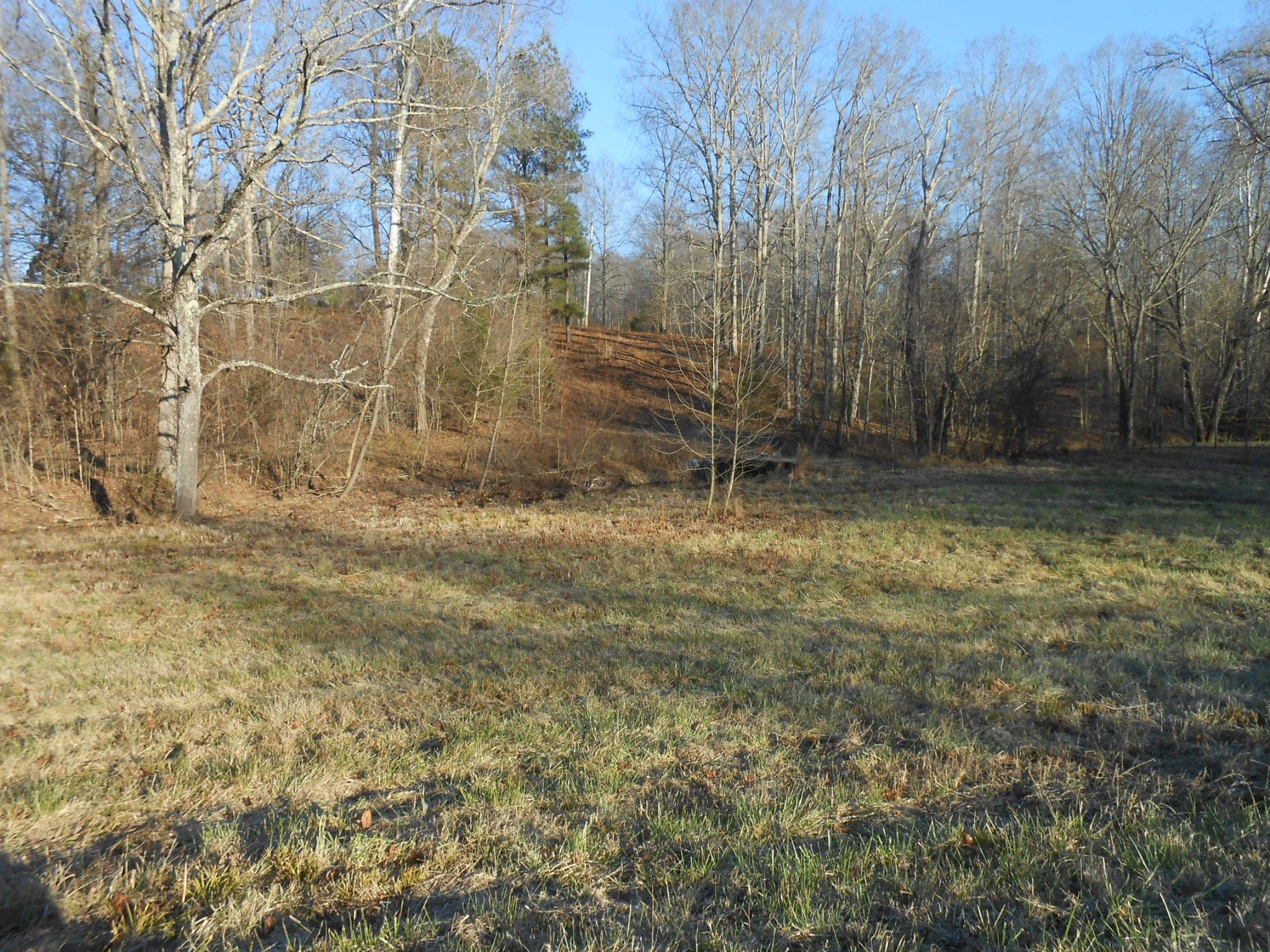 Portland, Sumner County, TN Undeveloped Land for sale Property ID
