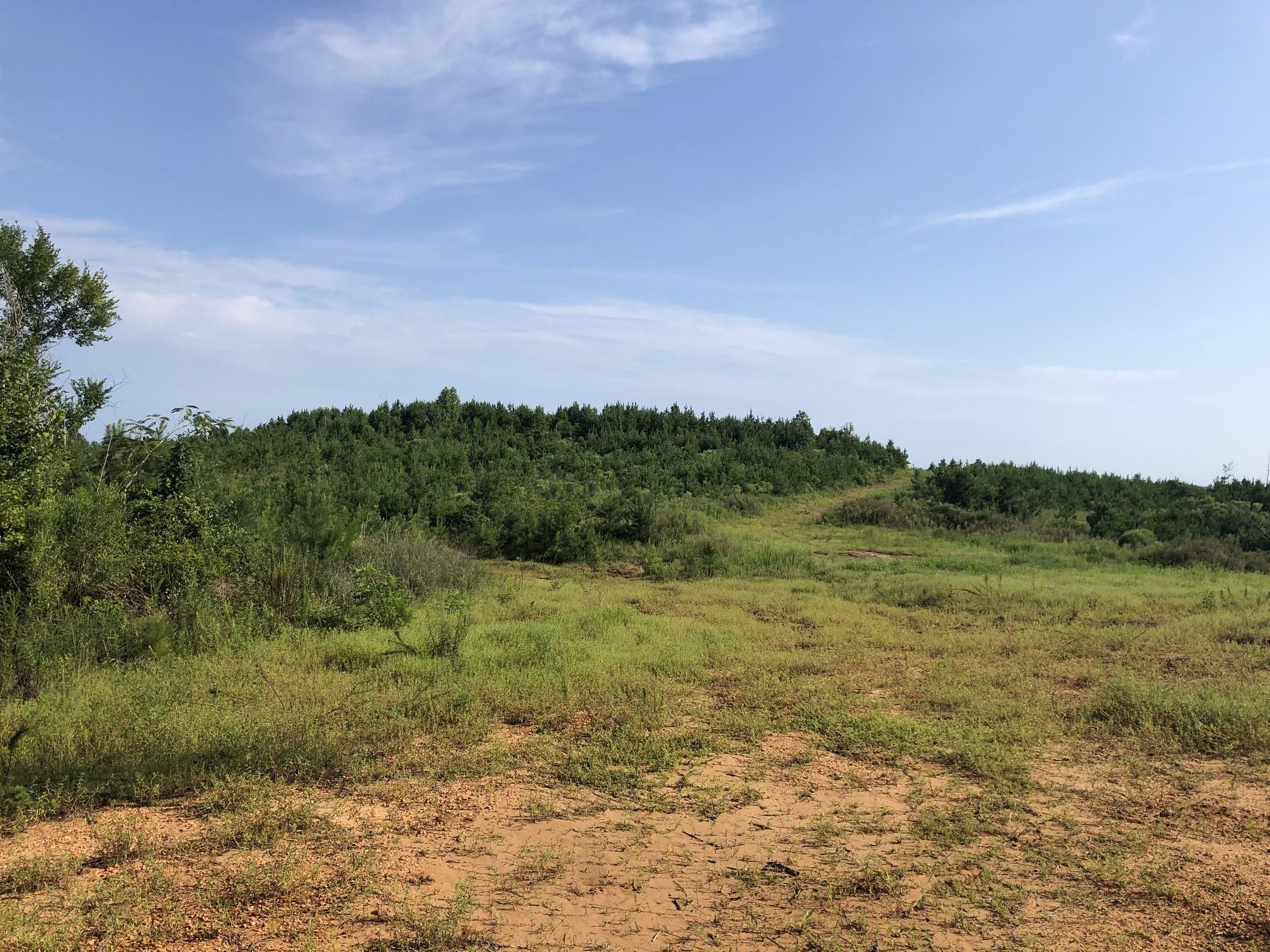 Harper Hill, Hale County, AL Recreational Property, Timberland Property