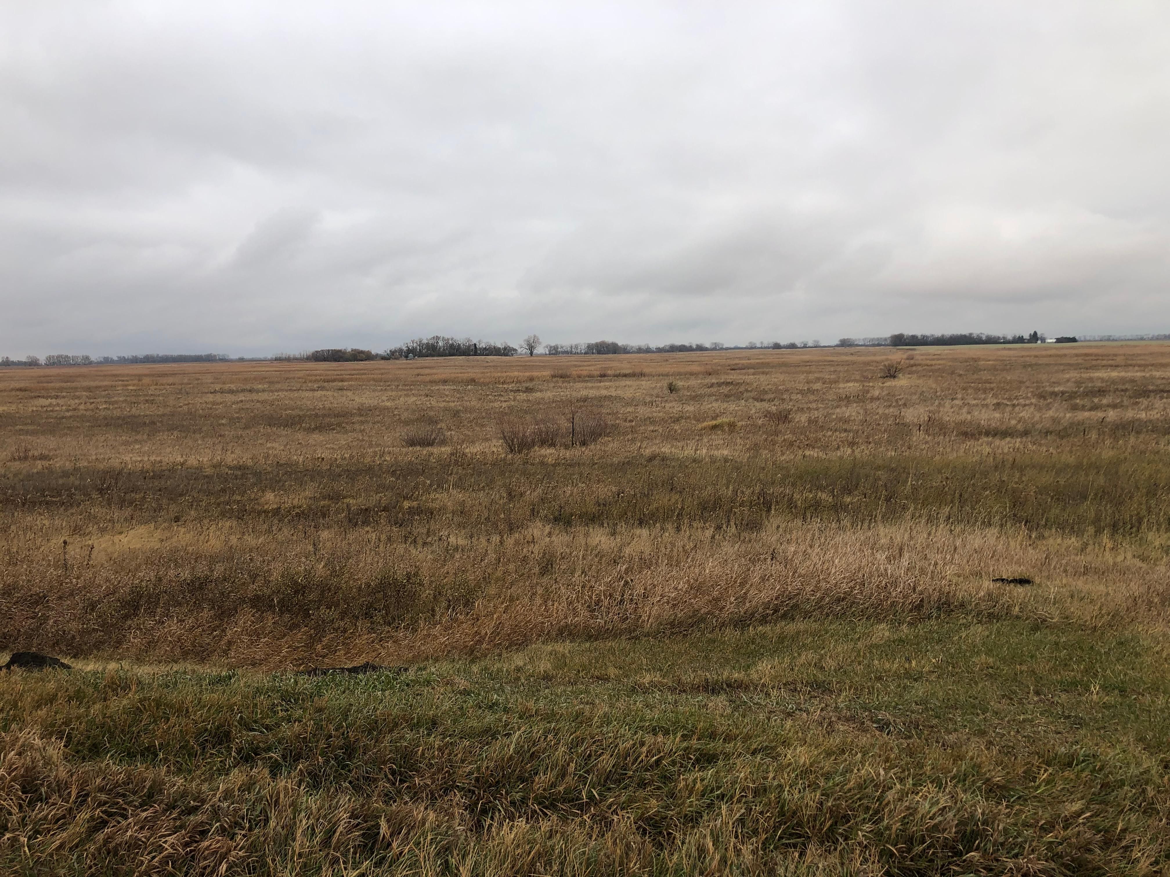 Buxton, Traill County, ND Farms and Ranches for sale Property ID