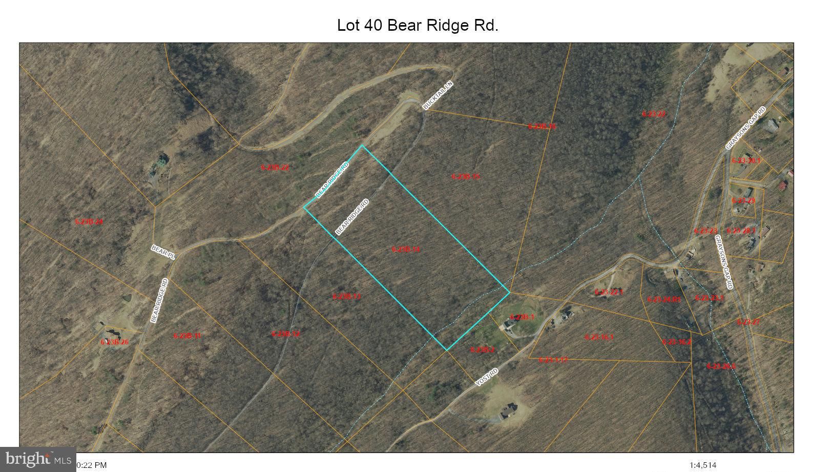 New Creek, Mineral County, WV Undeveloped Land for sale Property ID