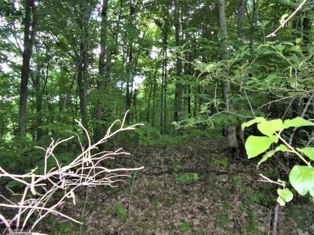 Trade Lake, County, WI Undeveloped Land, Lakefront Property