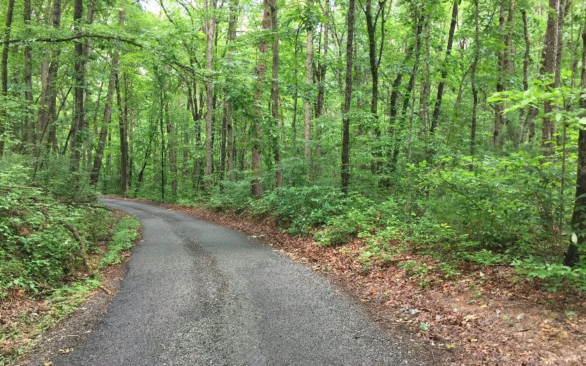 Ellijay, Gilmer County, GA Undeveloped Land for sale Property ID