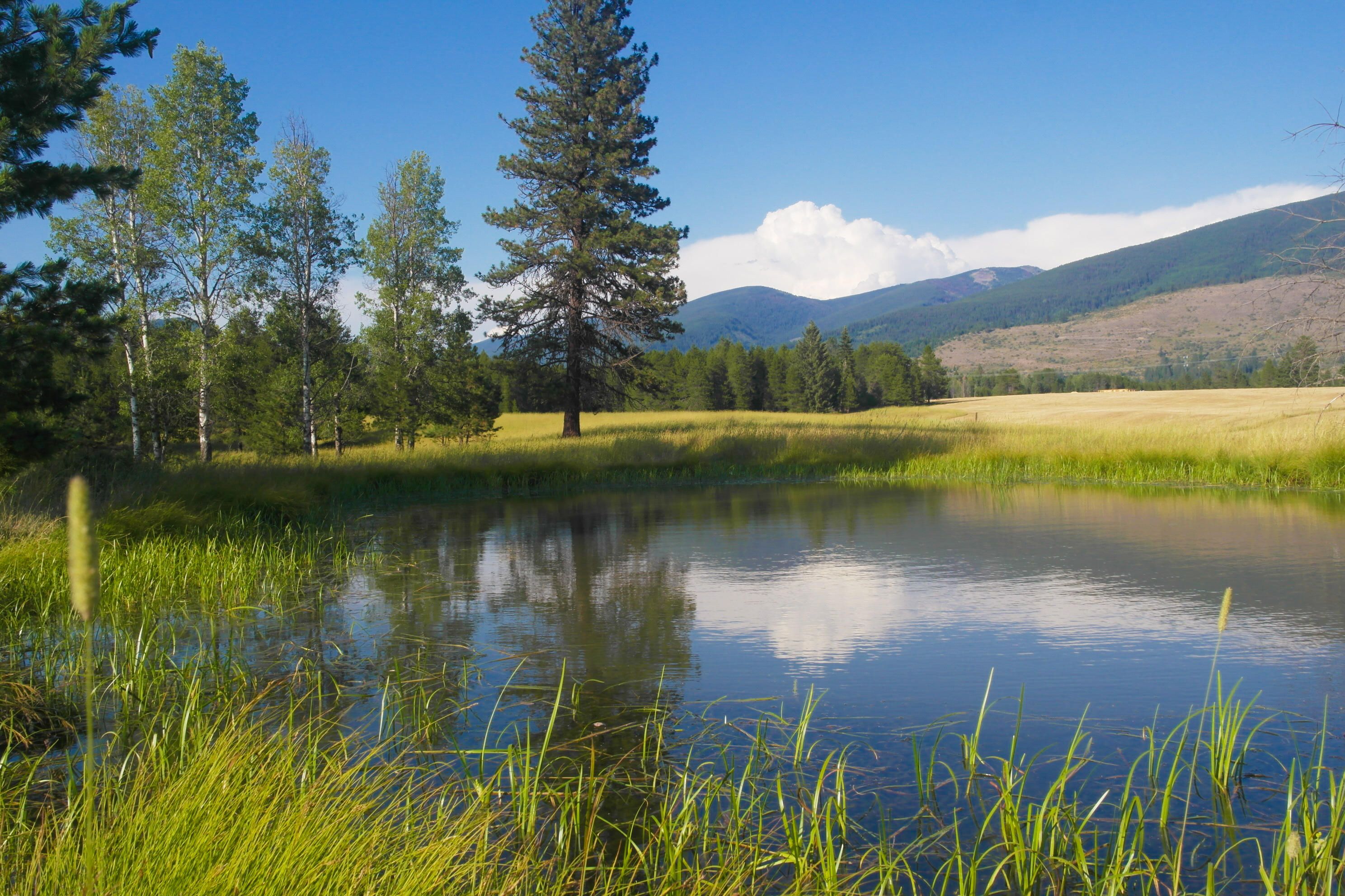 Trout Creek, Sanders County, MT Undeveloped Land for sale Property ID