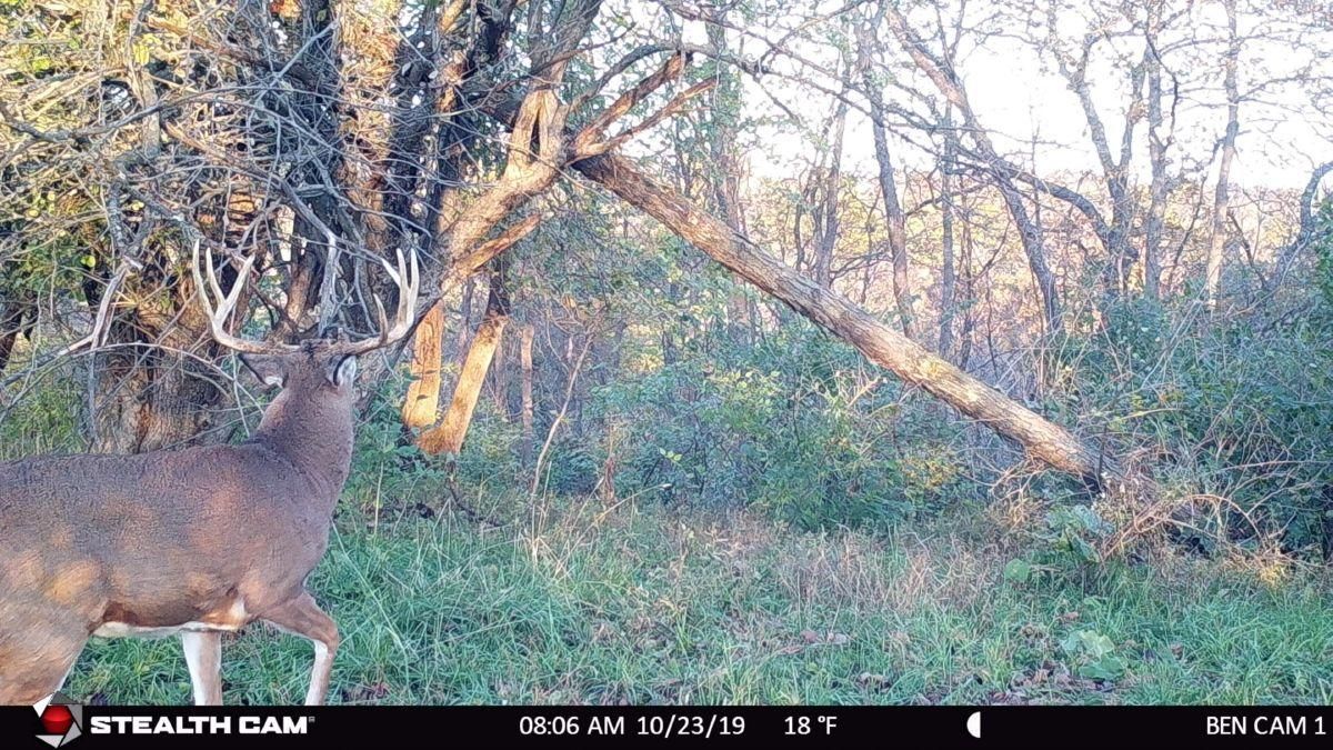 Gays Mills, Crawford County, WI Recreational Property, Hunting Property