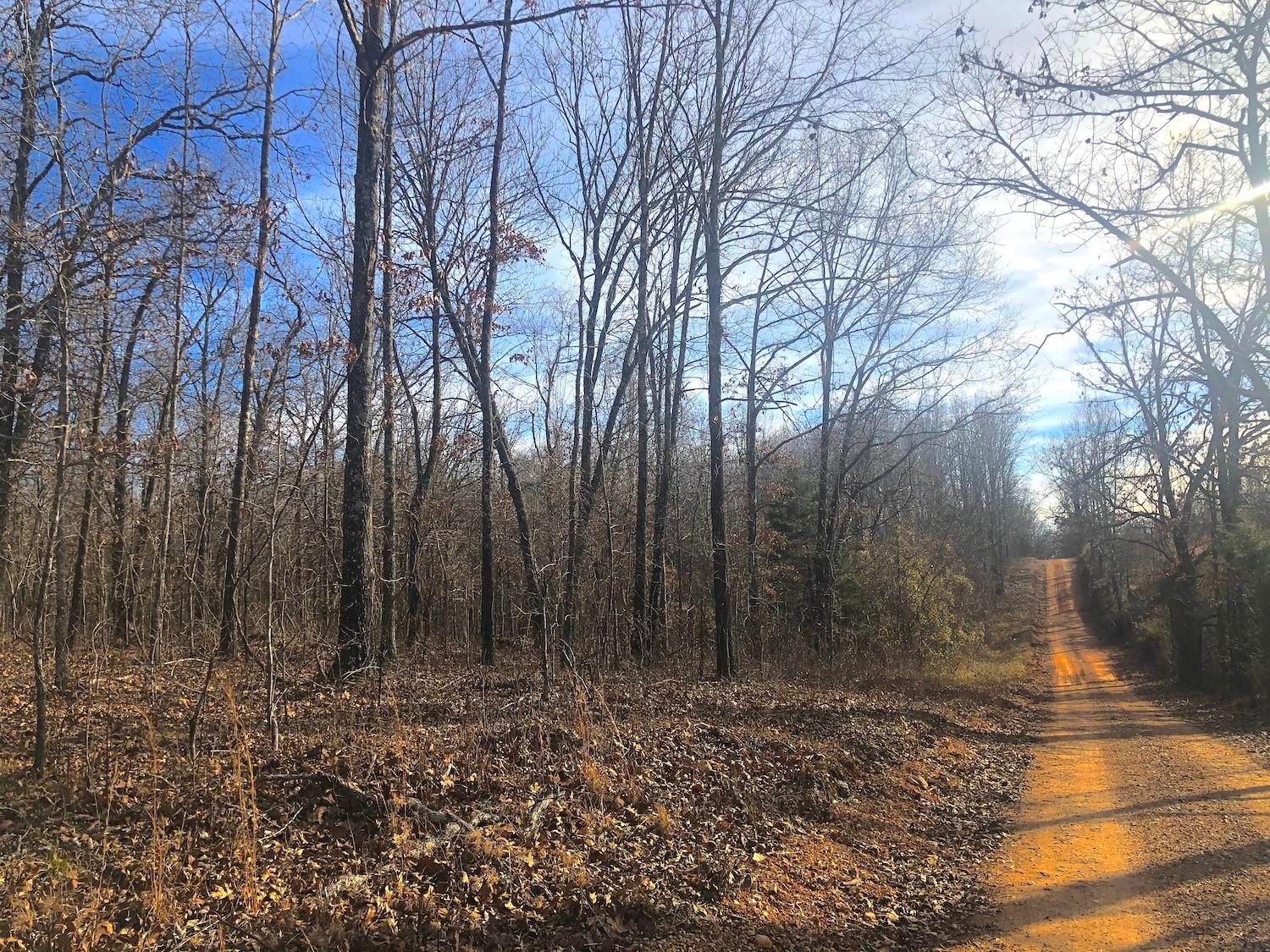 Alton, Oregon County, MO Undeveloped Land for sale Property ID