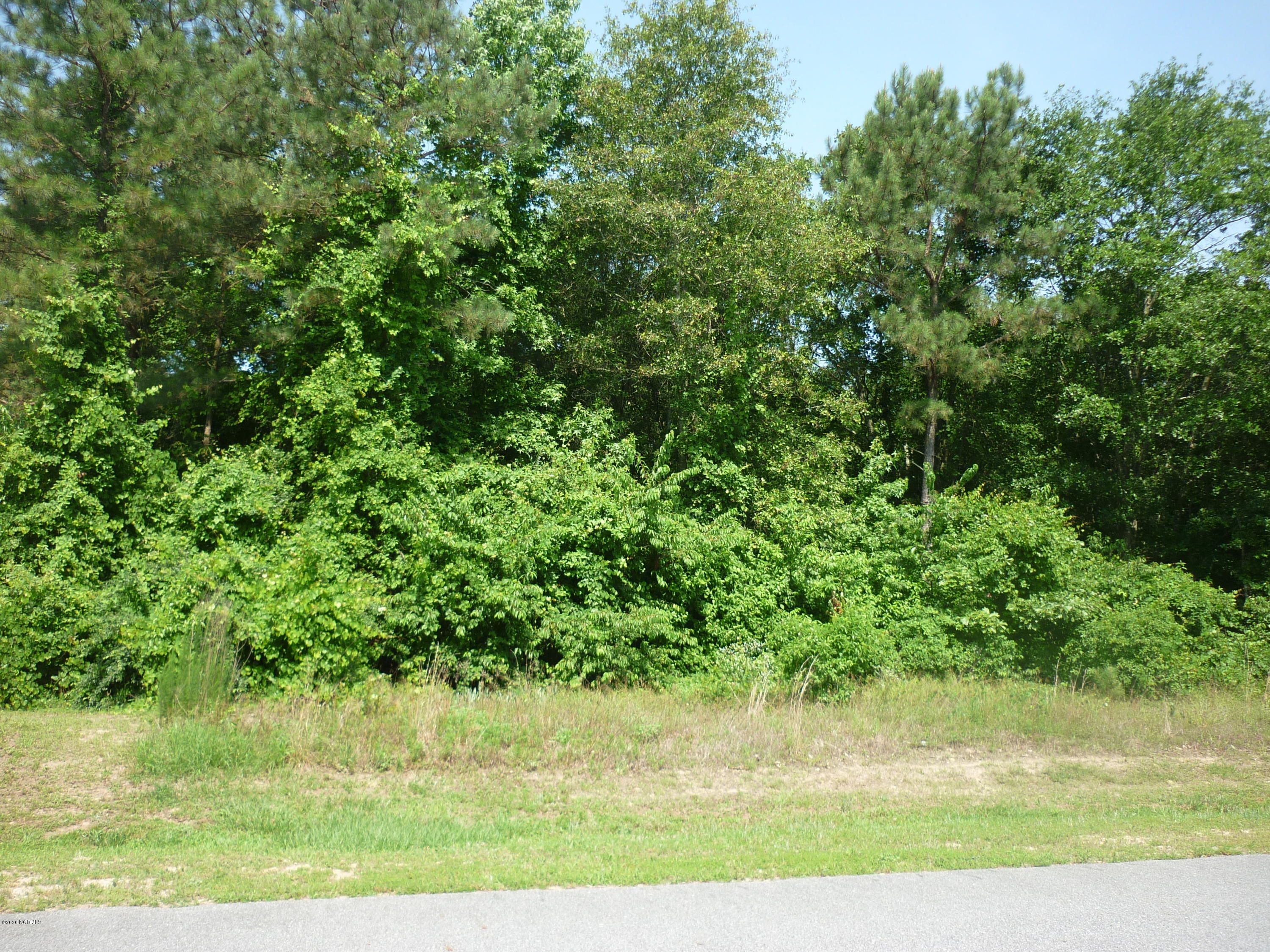 Snow Hill, Greene County, NC Undeveloped Land, Homesites for sale